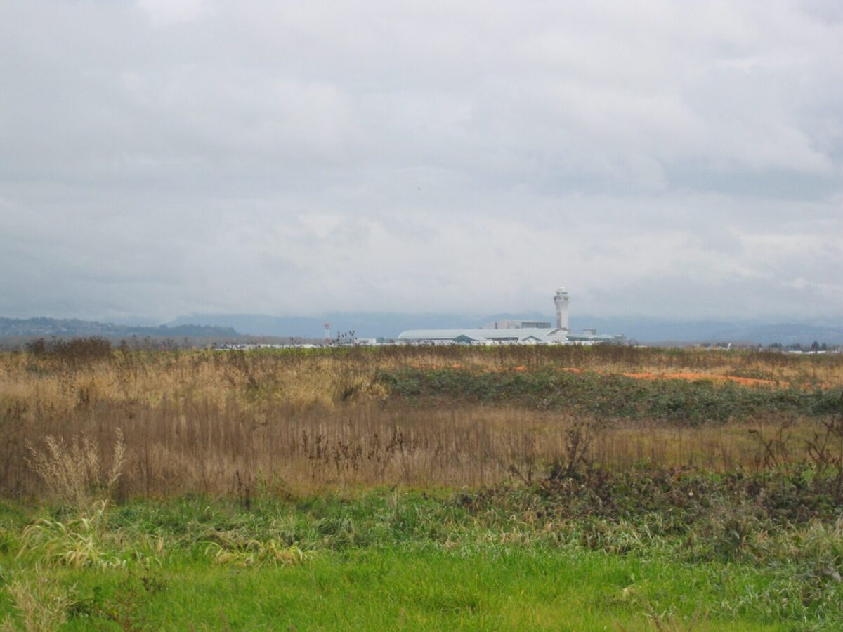 a field with native grasses and Portland International Airport in the background