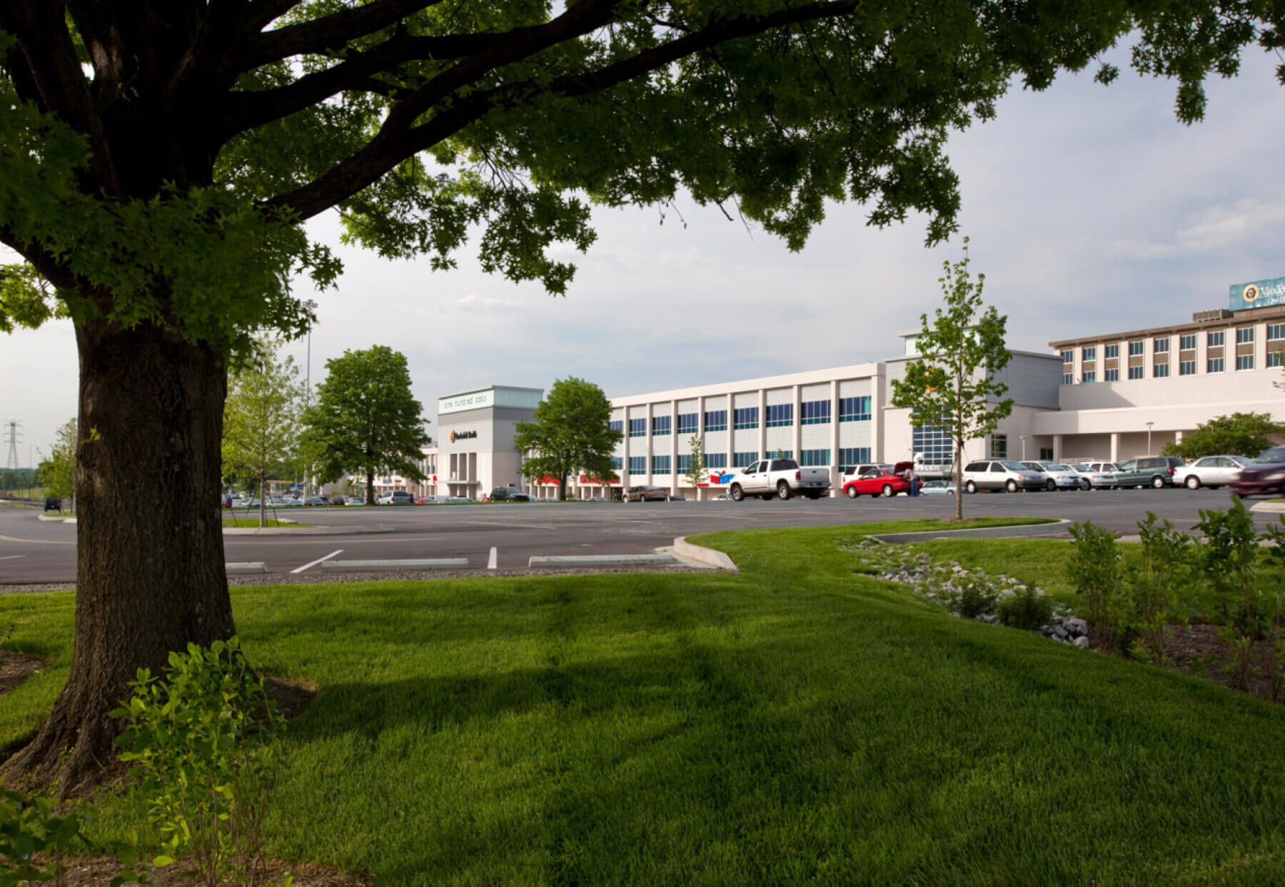 view of the parking lot with oak trees