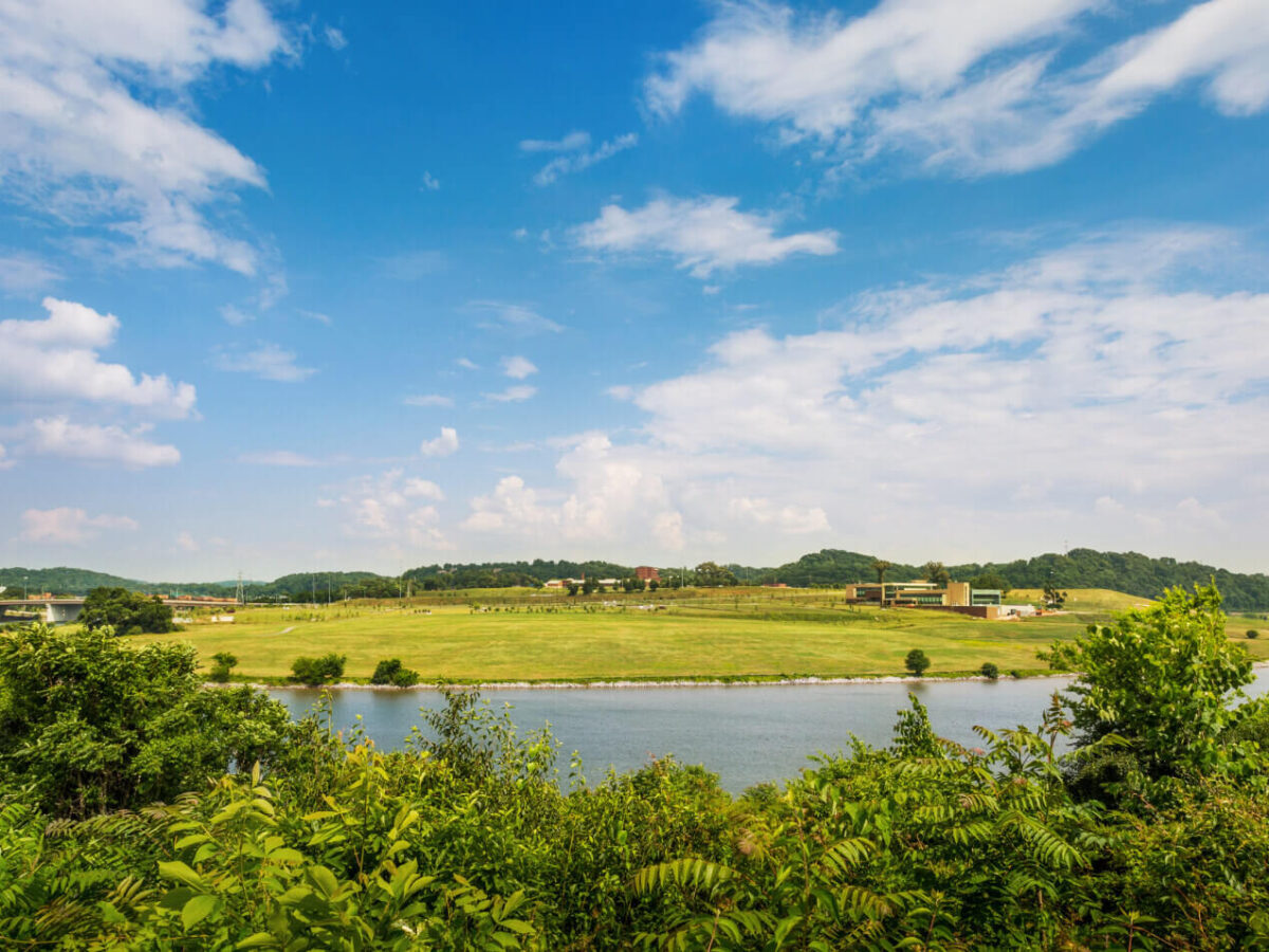 a green field with trees and a body of water