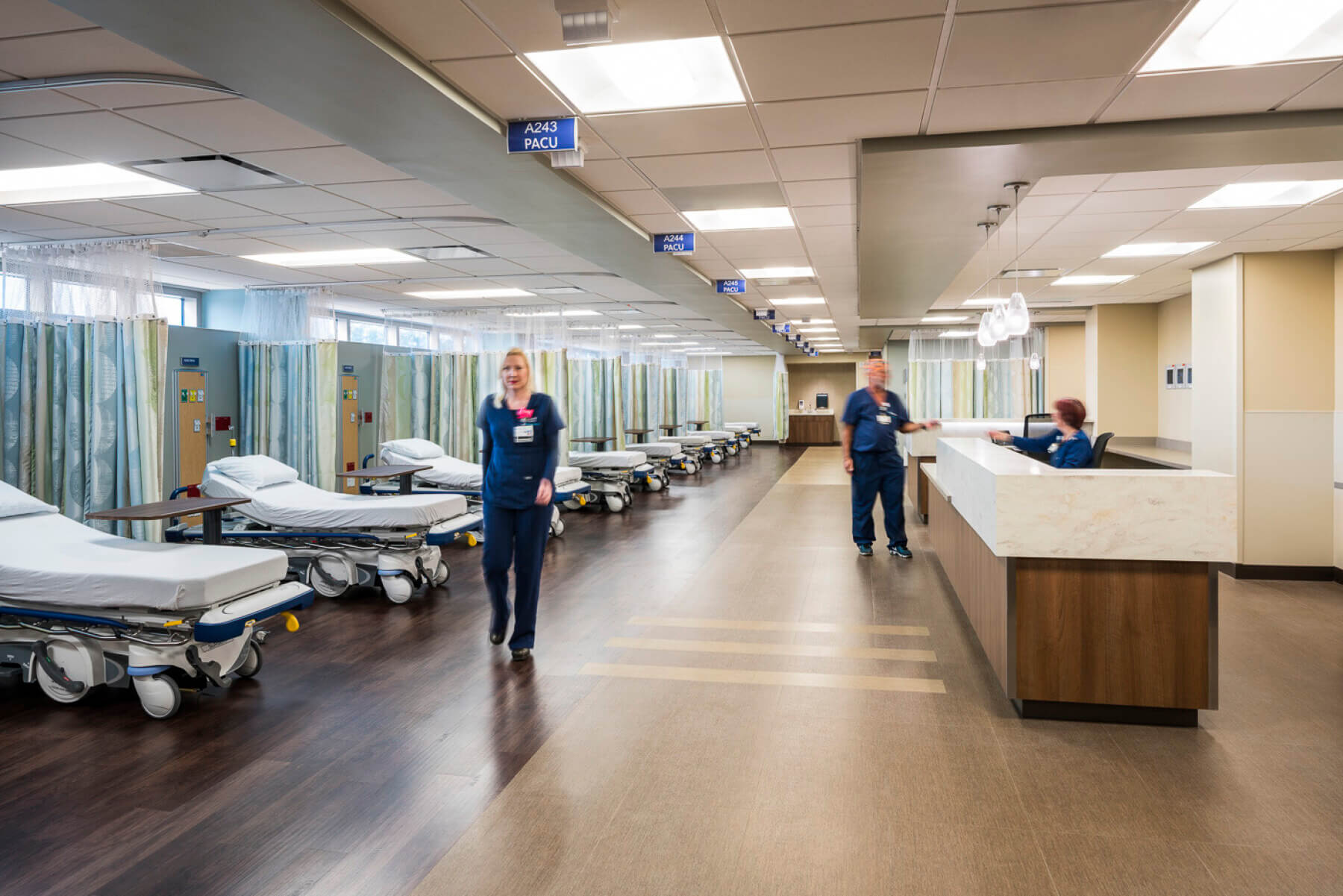 beds in the post anesthesia care unit