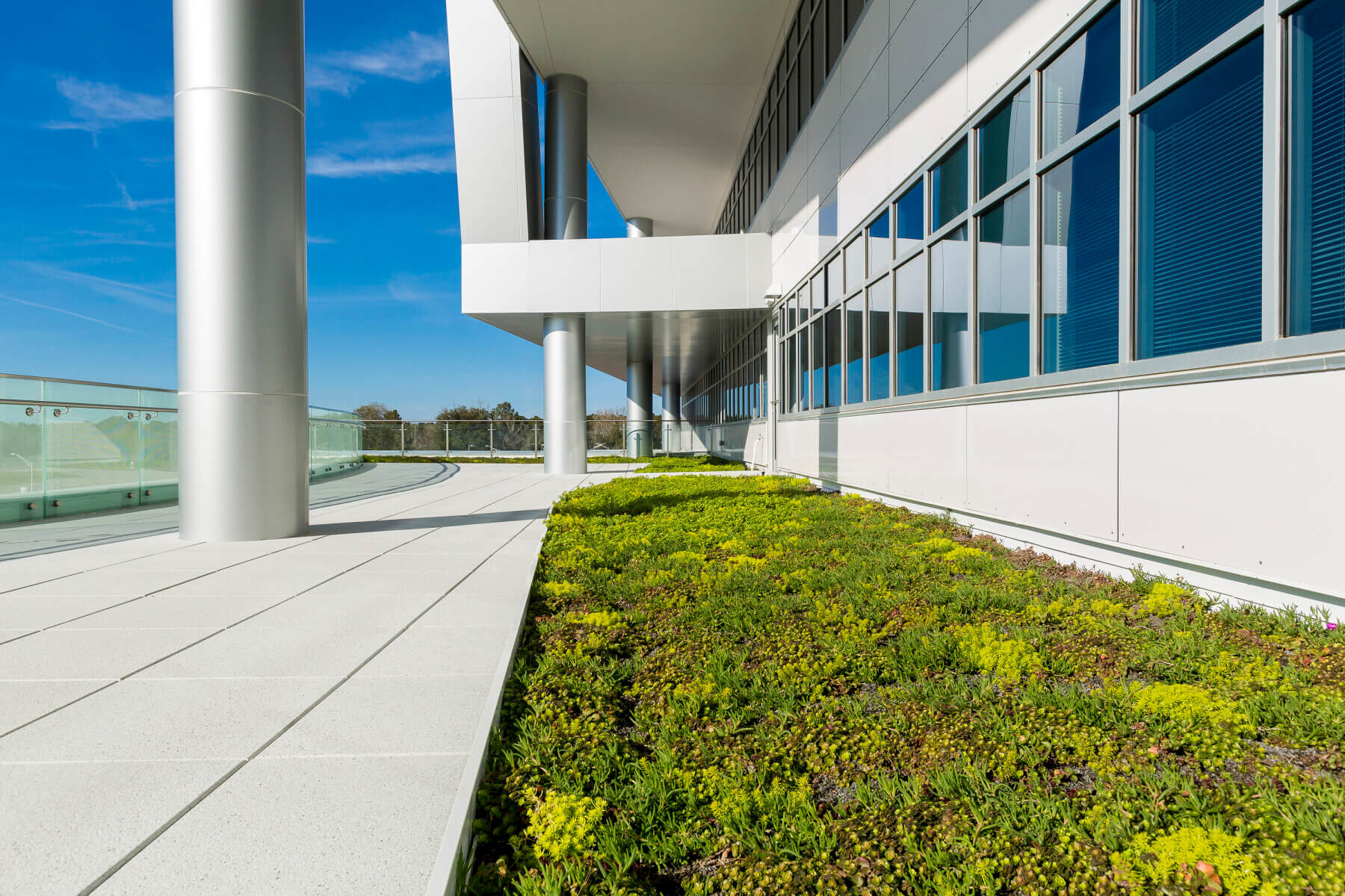 greenery outside of entrance along windows