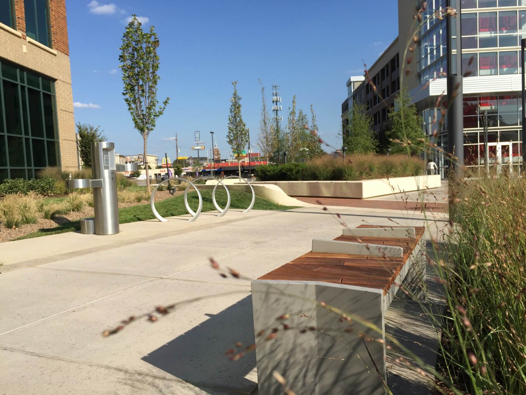 a bench and greenery outside of the University of Louisville’s J.D. Nichols Campus Plaza
