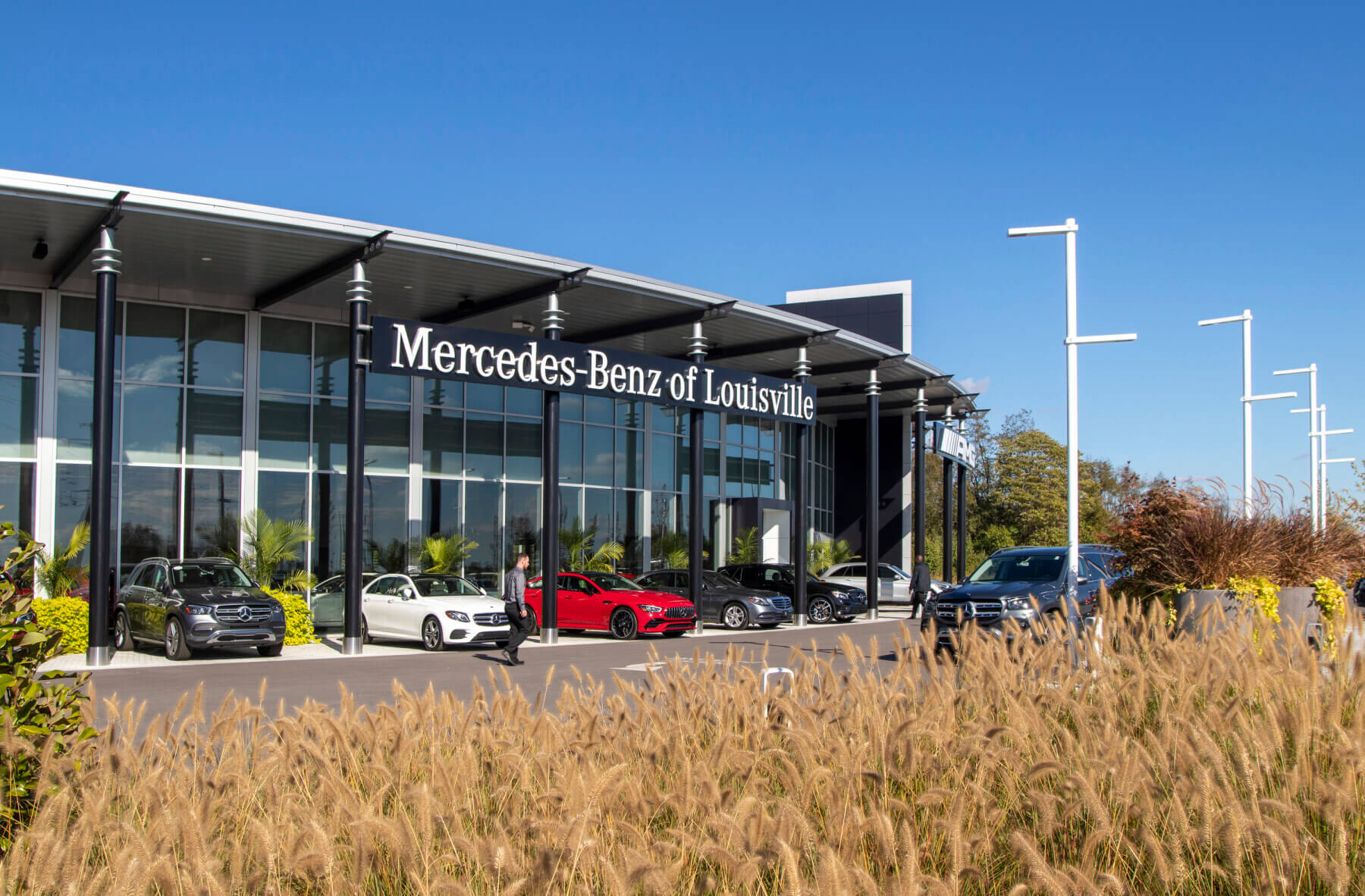 the Mercedes-Benz of Louisville exterior of the building lined with cars