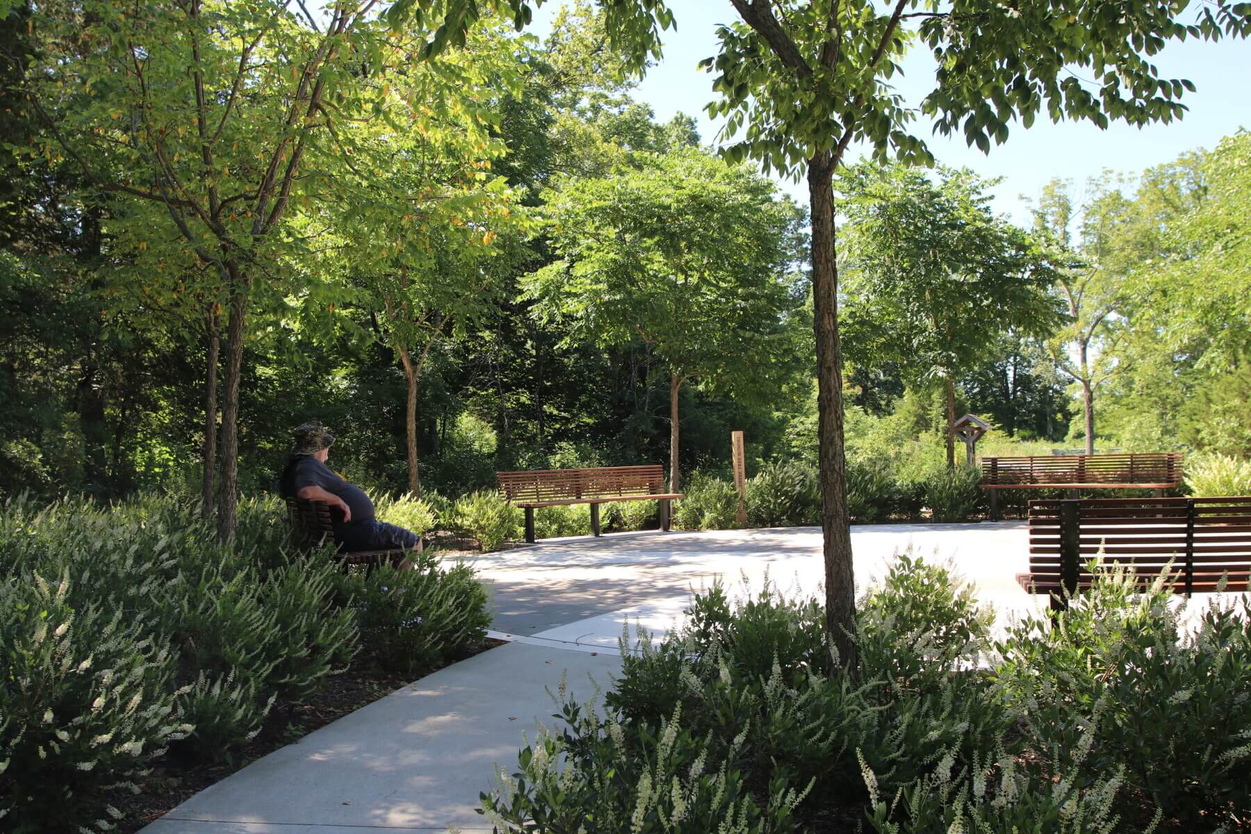 a man sitting on a bench in a garden