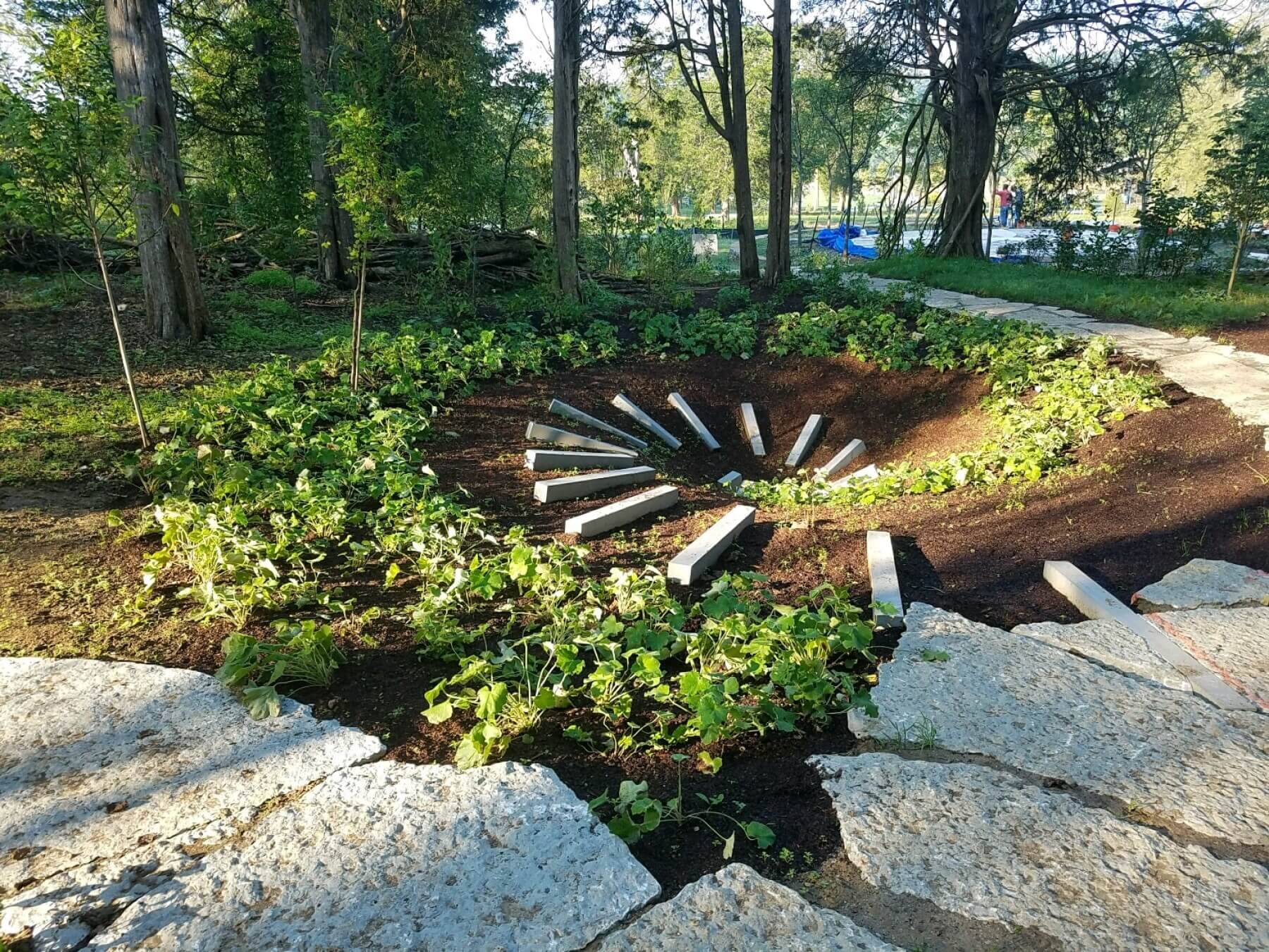 A garden with pavers and plants
