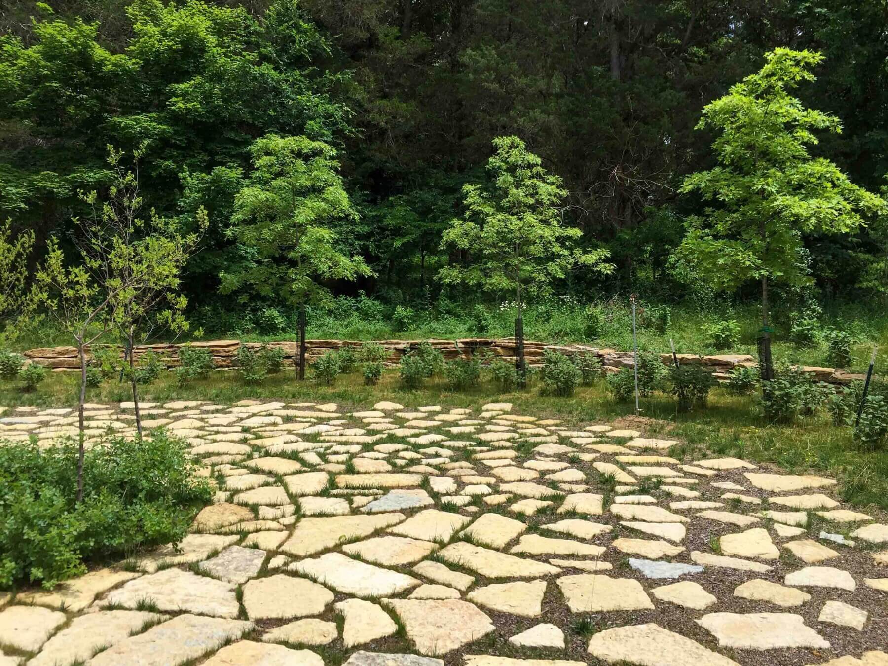 circular stones in a garden