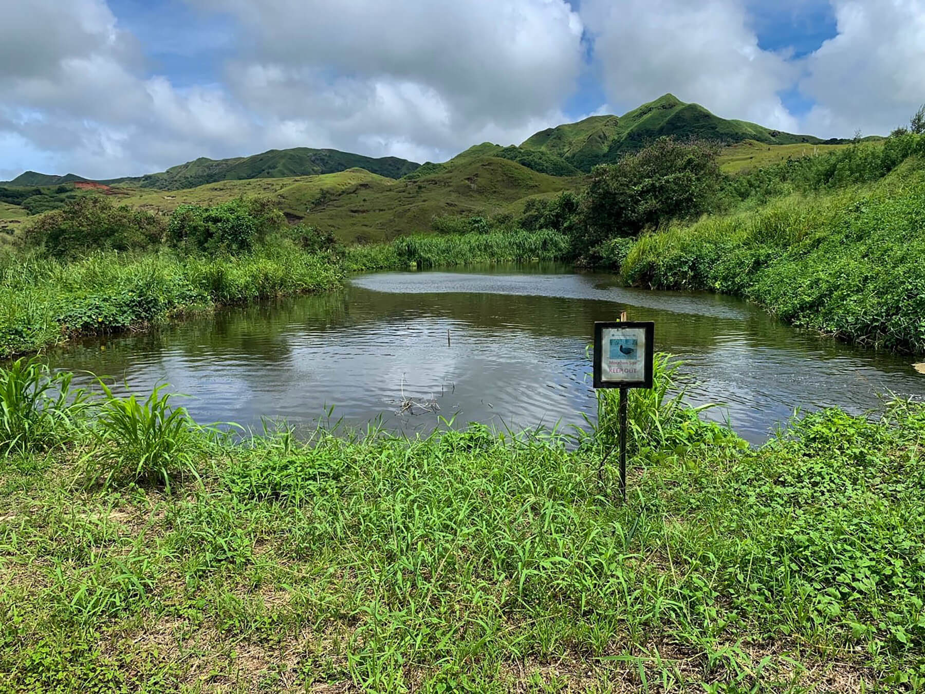 Aquifer (pond) amidst a green field.