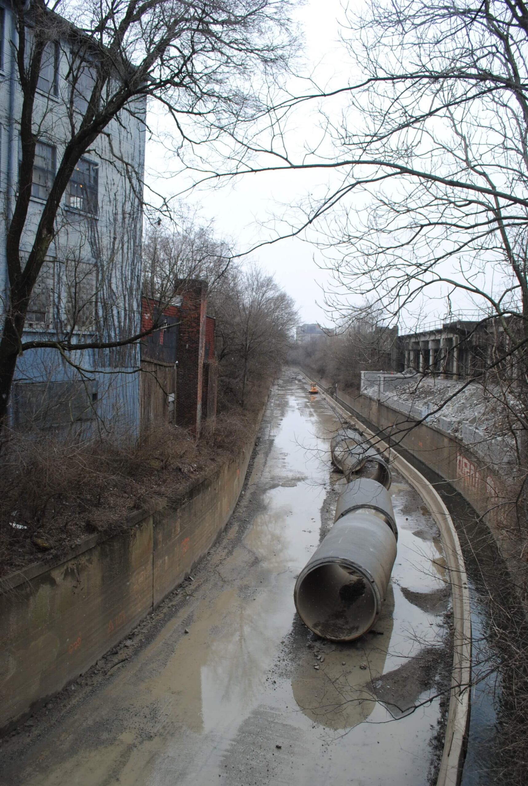 concrete pipes sitting in Beargrass Creek