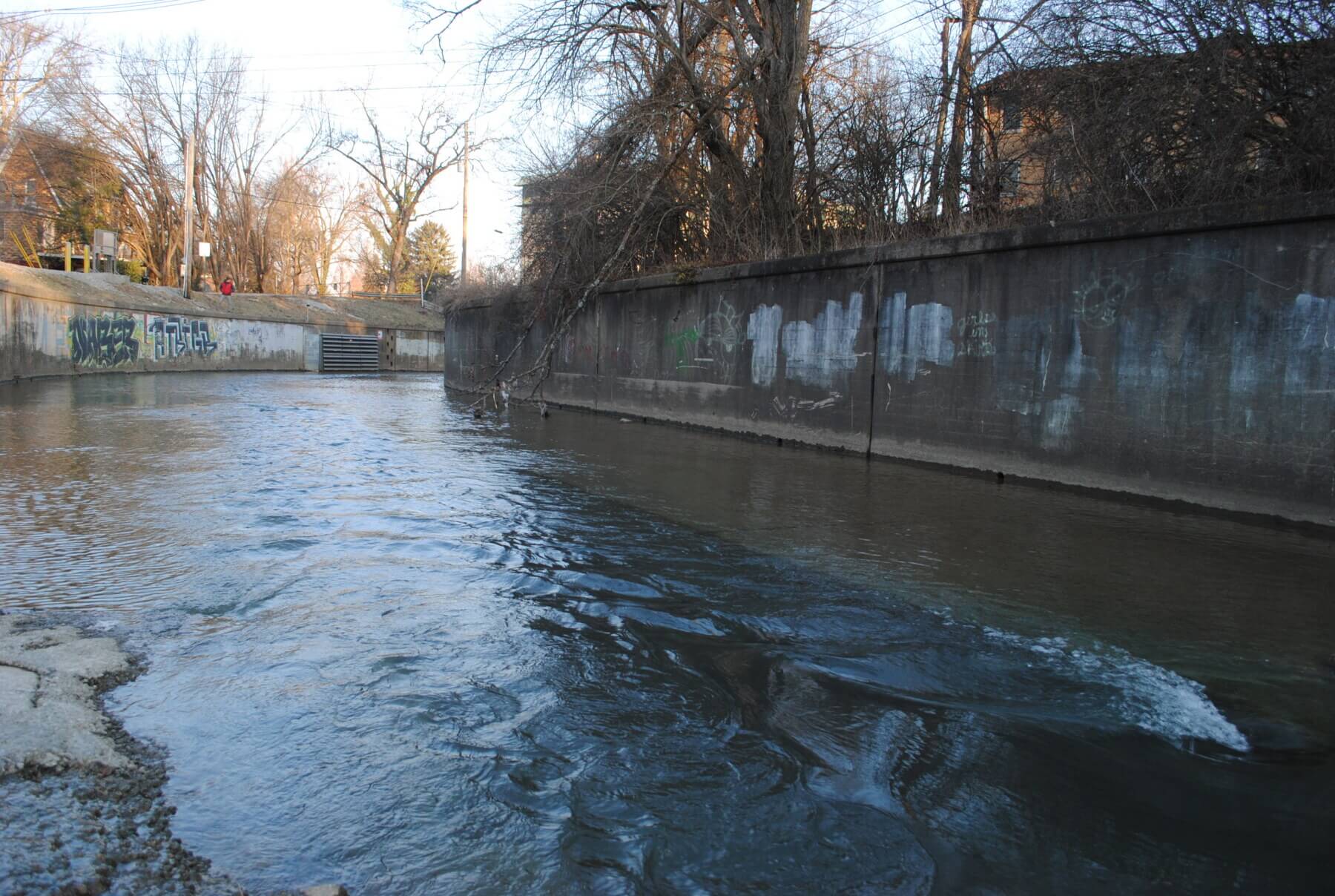 close-up view of water running through Beargrass Creek