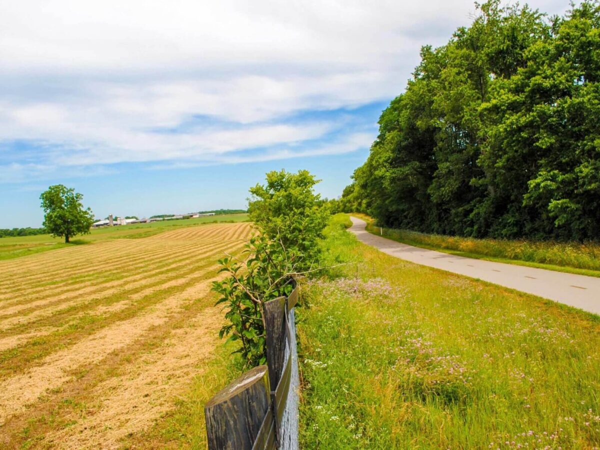 a field at the Coldstream Industrial Park site