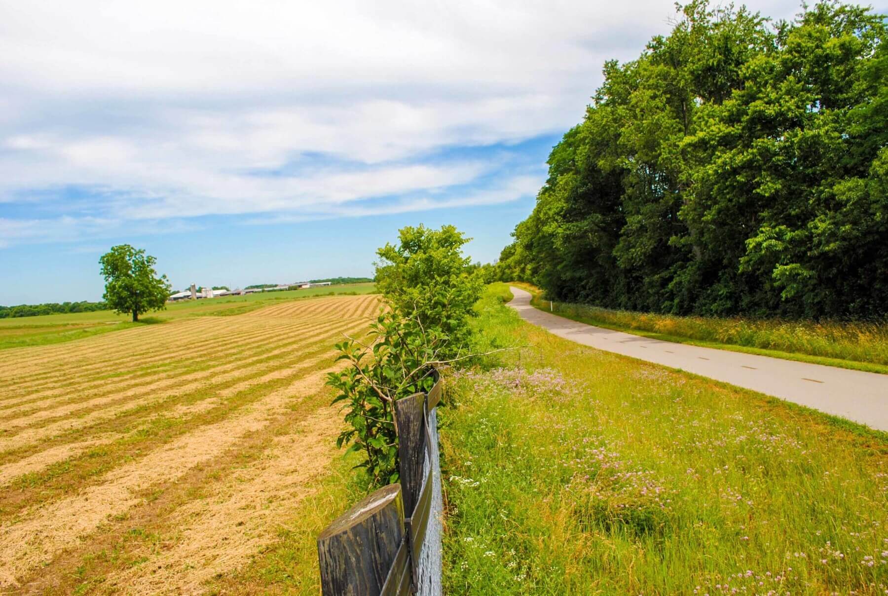 a field at the Coldstream Industrial Park site