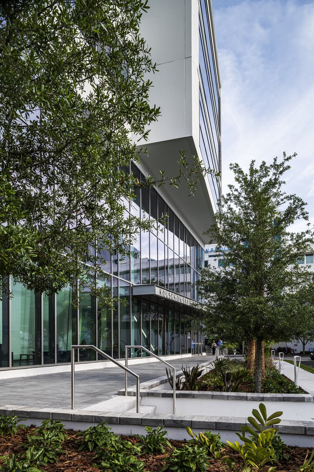 trees and sidewalk outside of a medical building in sarasota, florida