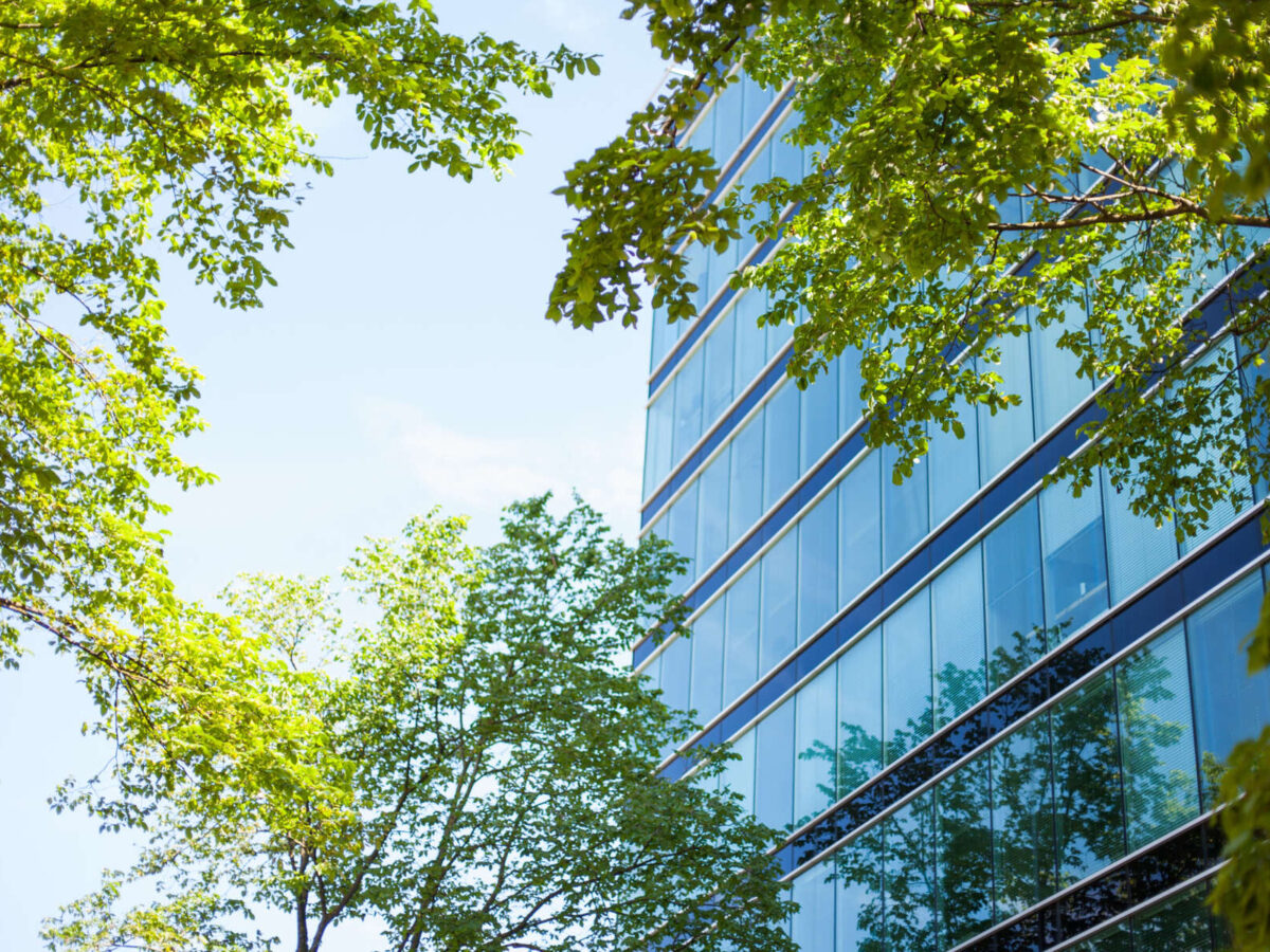Healthy Buildings, Healthy Minds, and a Healthy Life