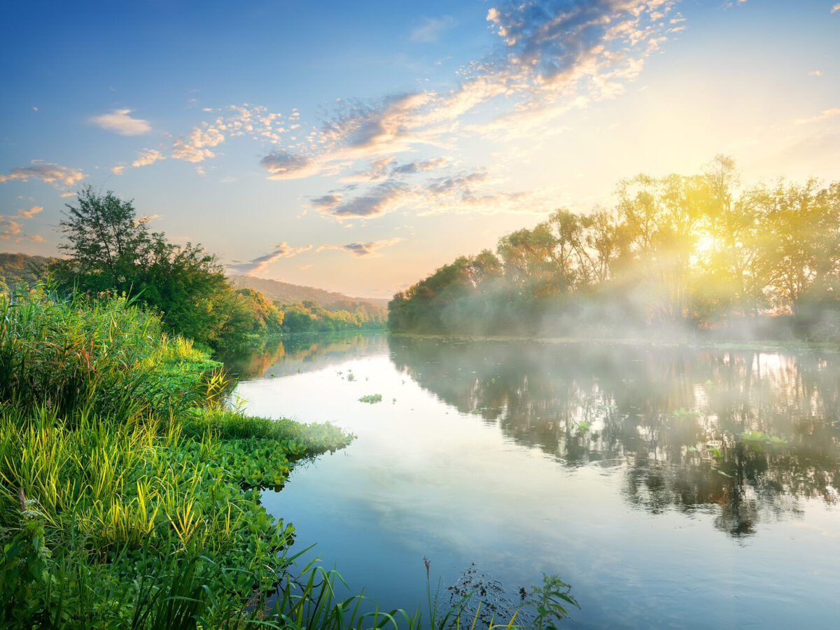 Empowered To Make a Positive Difference: Lauren Seydewitz Talks Earth Day 2022