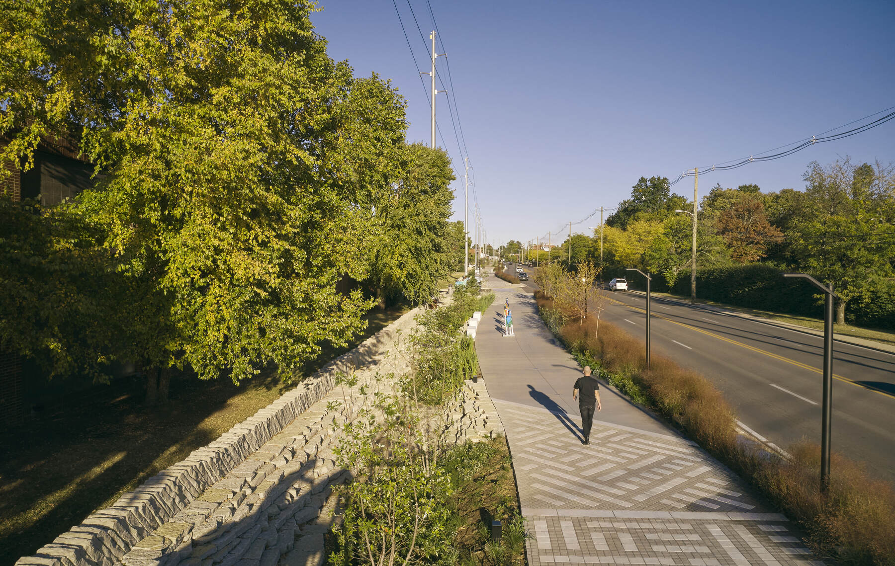 A person walking on a paved sidewalk with trees and greenery.