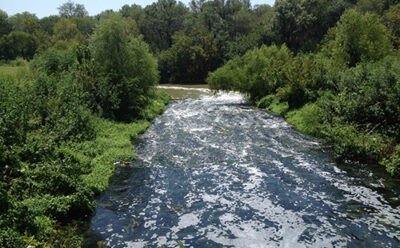 A small river running between groves of trees