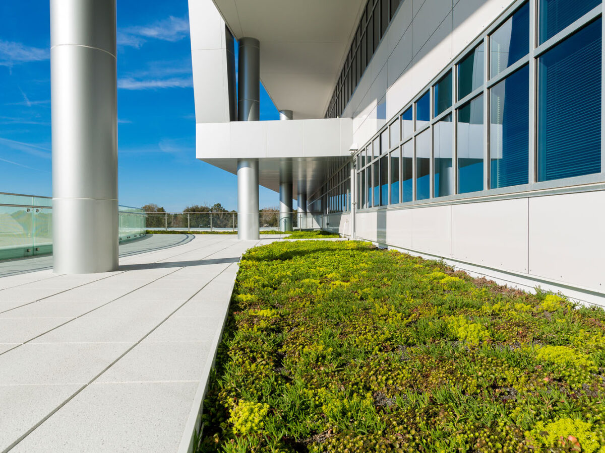 Data Driven Design: Energy Modeling for Occupant Comfort & Sustainability