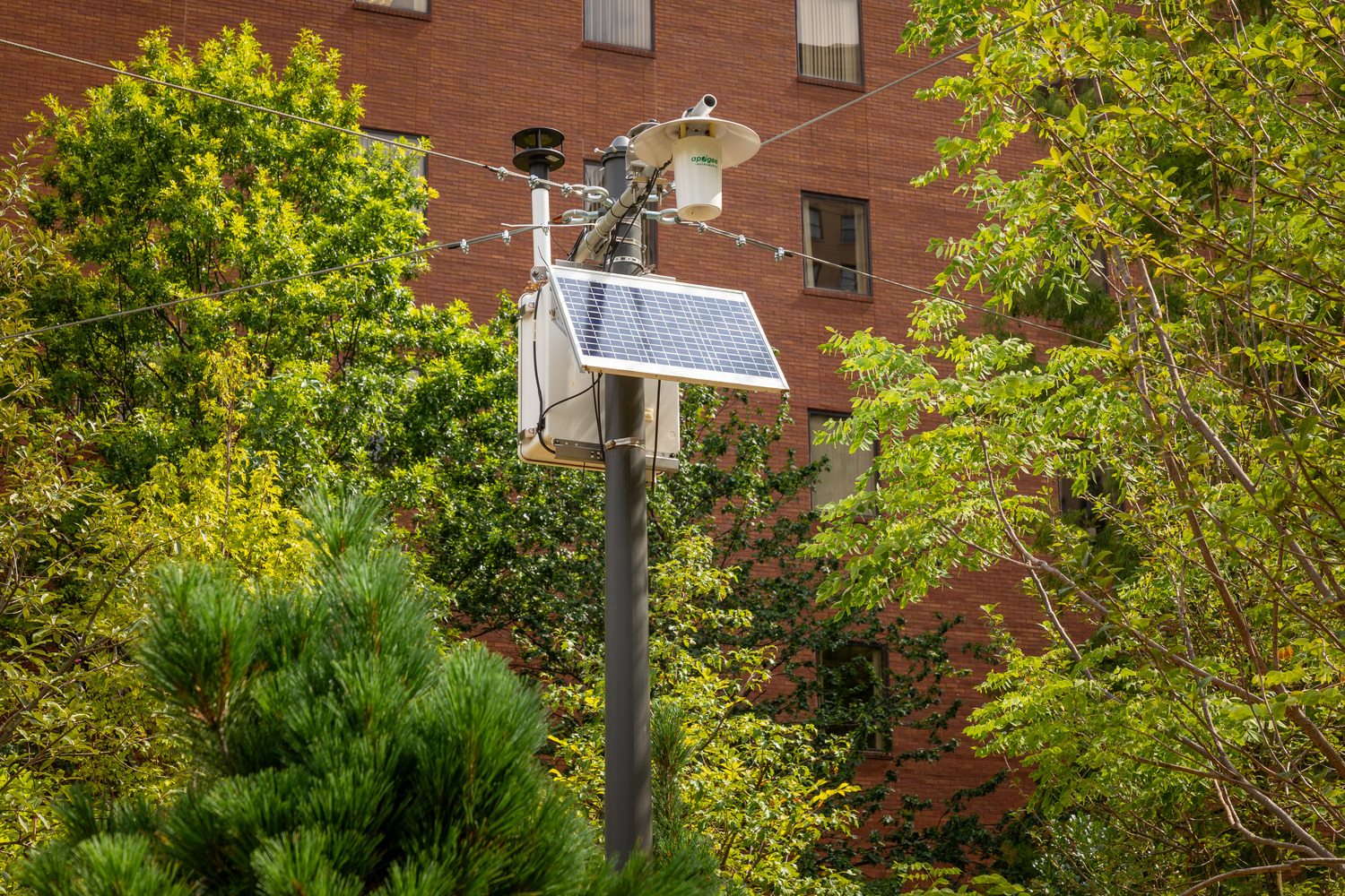 Equipment used to gather data in the Trager MicroForest