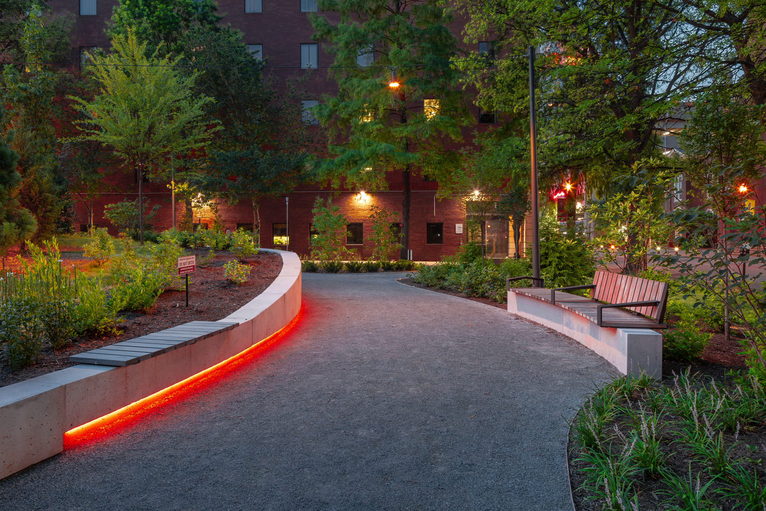 The trail at the Trager MicroForest at night