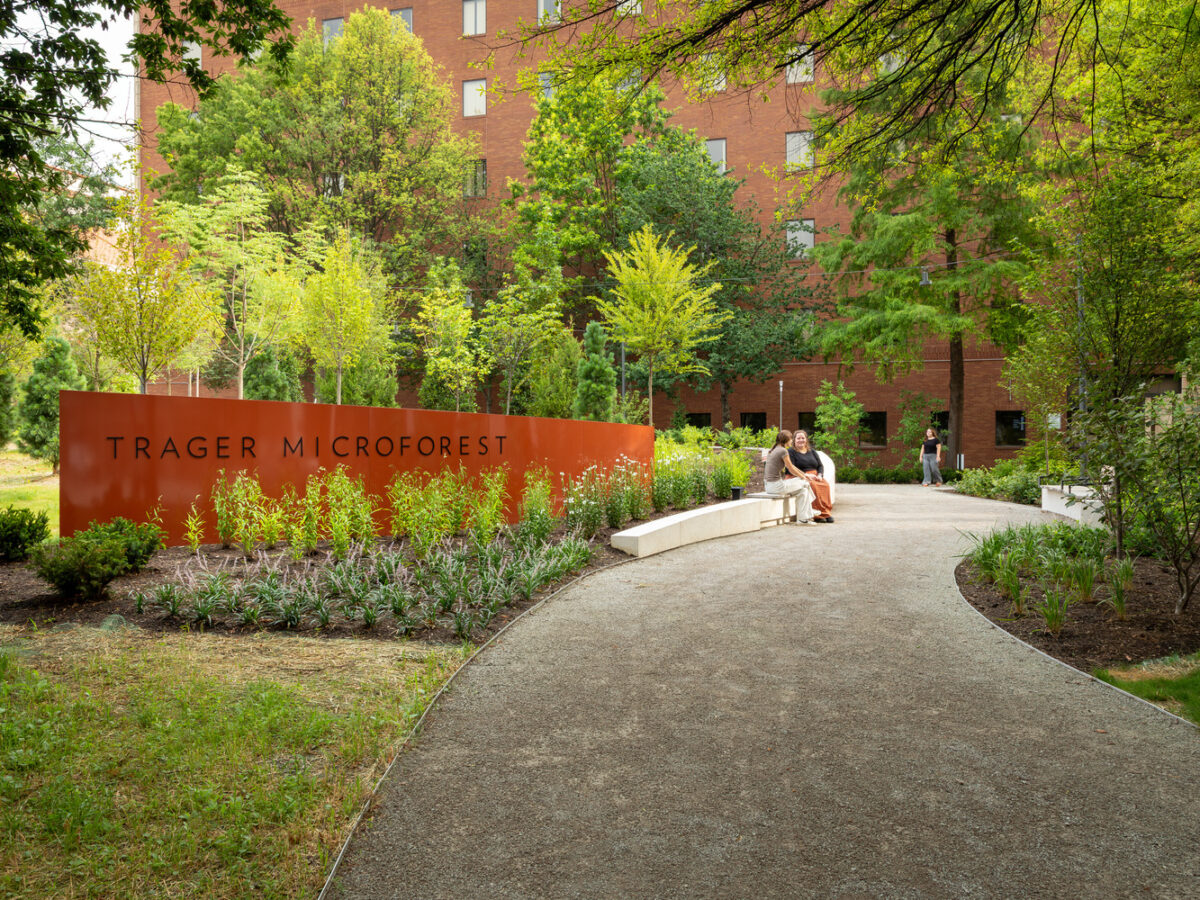 Two people on a bench in the Trager MicroForest