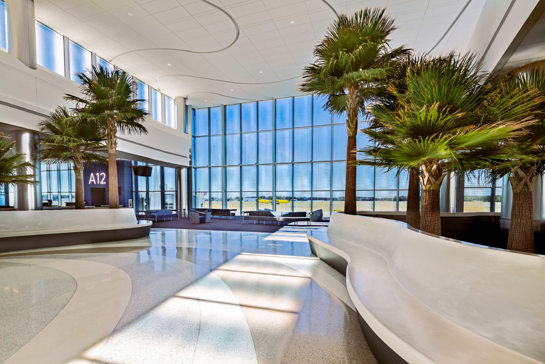 white planters with palm trees and a large wall of windows at Myrtle Beach Airport